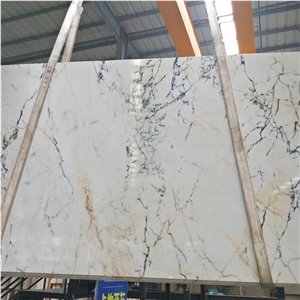 Calacatta Paonazzo Marble for Flooring Tiles