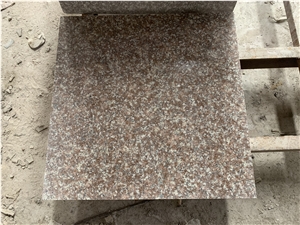 Top Quality Peach Flower Granite Tiles for Floor