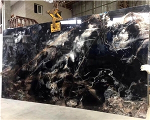 Black Rose Marble with Veins Pattern