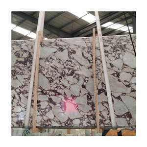 Good Quality Calacatta Violet Vein Marble Slab