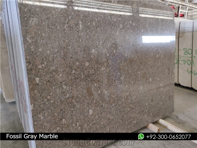 Fossil Gray Marble Slabs