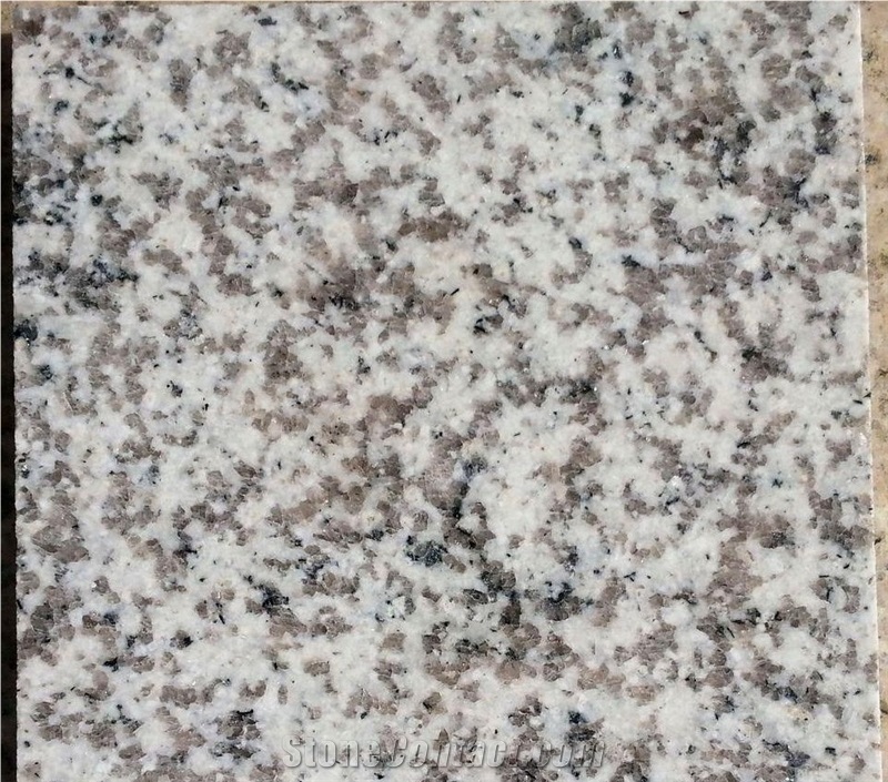 Polished Cheap Natural White Grey Granite G655