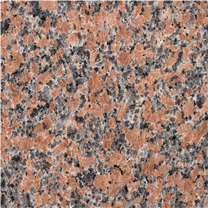 Charme Red G562 Granite Polished Tiles