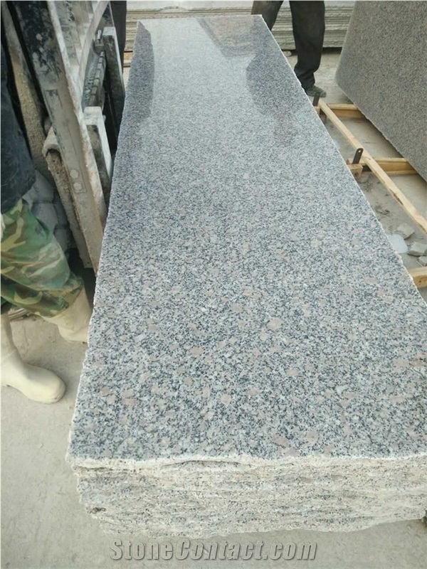 China Pearl Flower G383 Granite 2cm 3cm Slabs