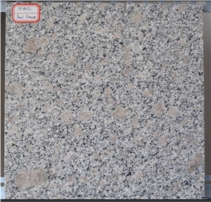 China Pearl Flower G383 Polished Tiles