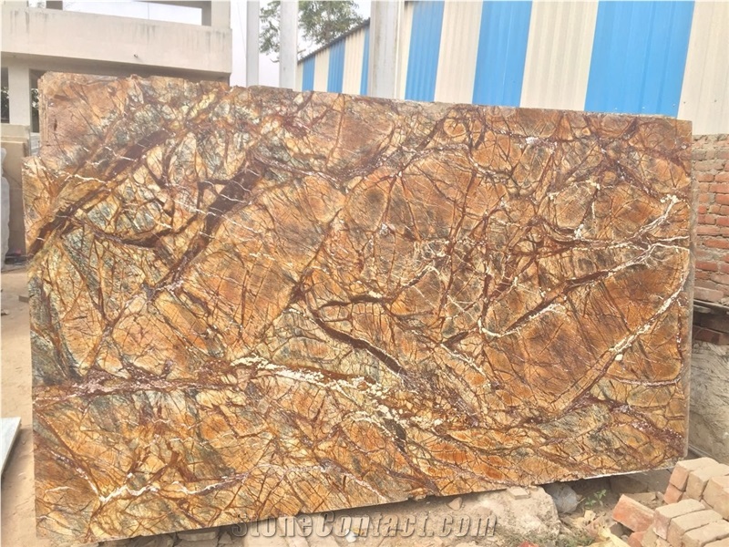 India Bidasar Gold Rain Forest Marble Slabs Tiles