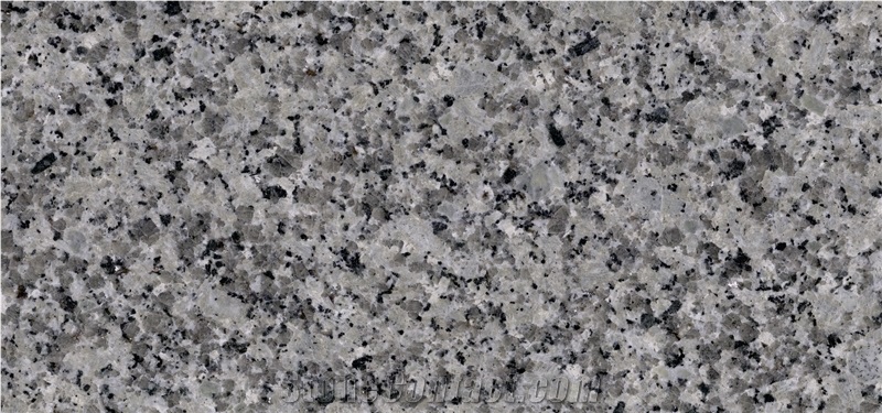 Bianco Gris Granite Slabs, Tiles