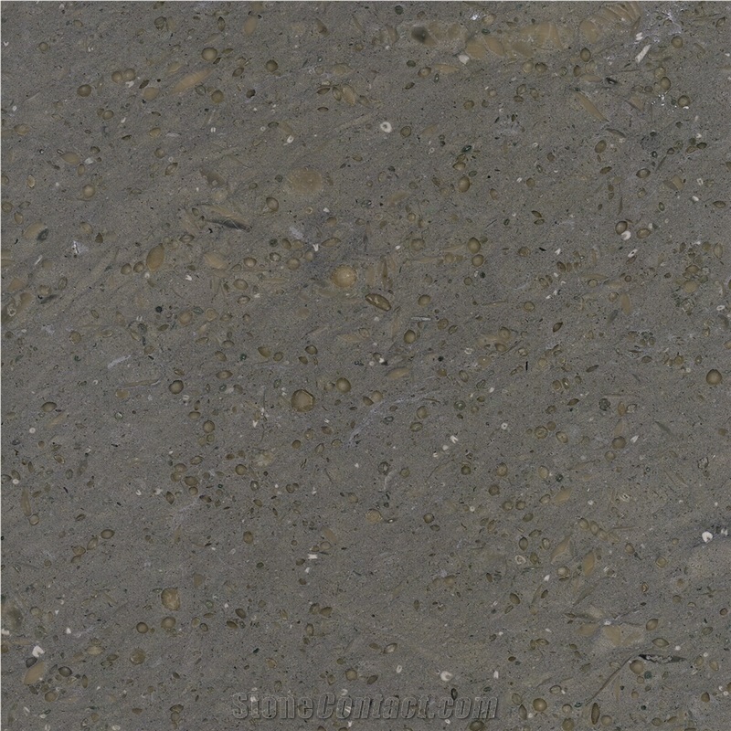 Platinum Gray Limestone Slabs, Tiles