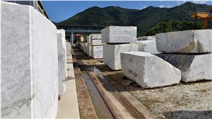 Breccia Capraia Marble Blocks-Quarry Owner