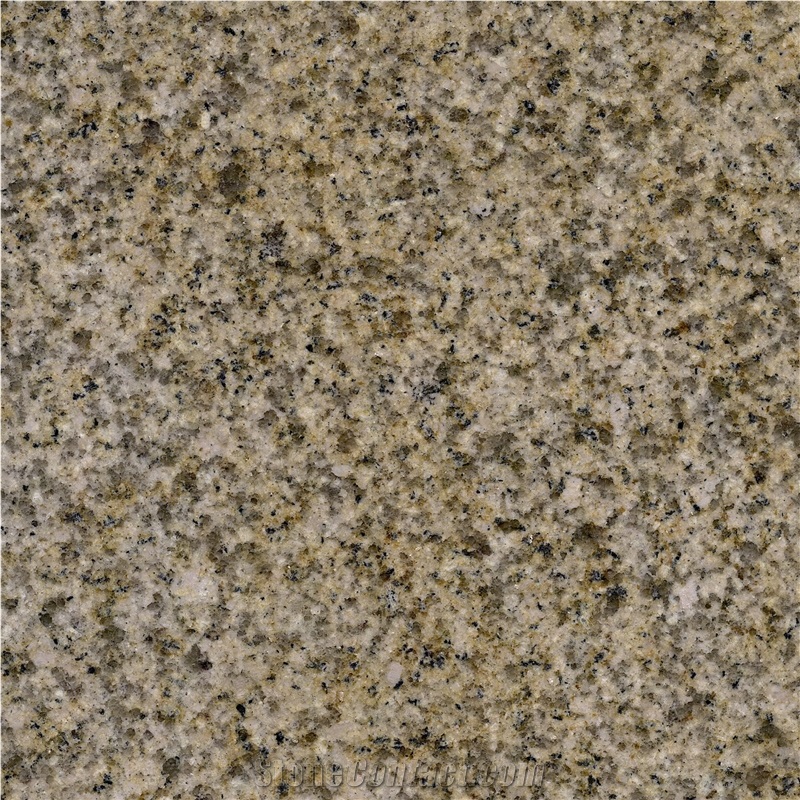 New G682 Granite Slabs, Tiles