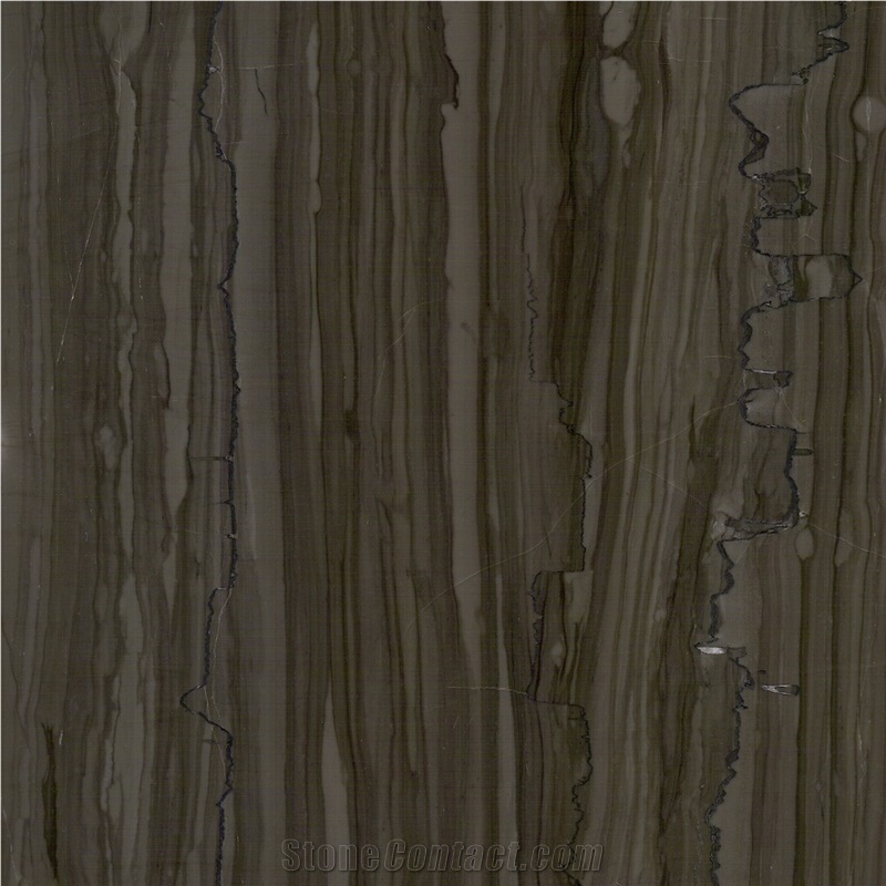 Obama Wood Marble Polished Slabs, Tiles