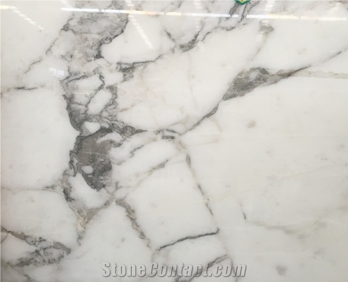 Calacatta Marble Black Vein,Italy Marble Slab Tile