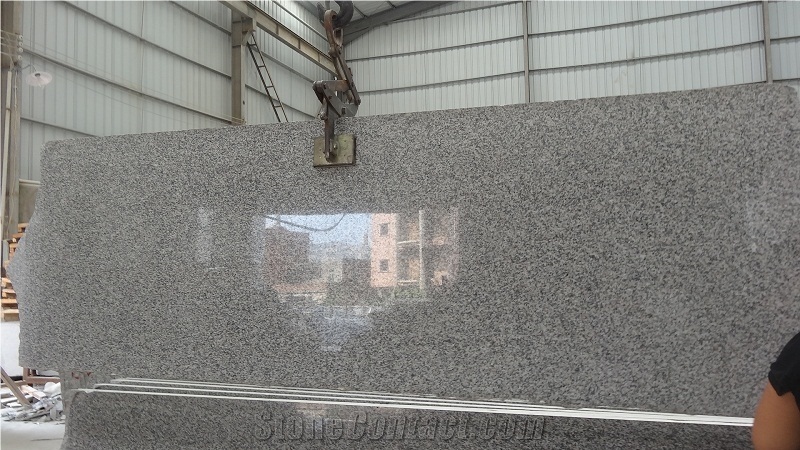 G623 Granite, Bianco Sardo,China Grey Granite