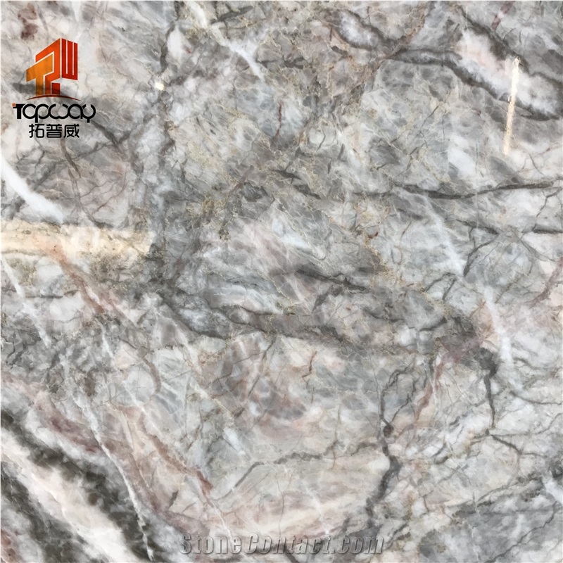 Charles Pascal Grey Imported Big Marble Slab
