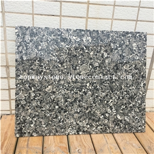 India Stone New Silver Pearl Granite Tiles & Slabs