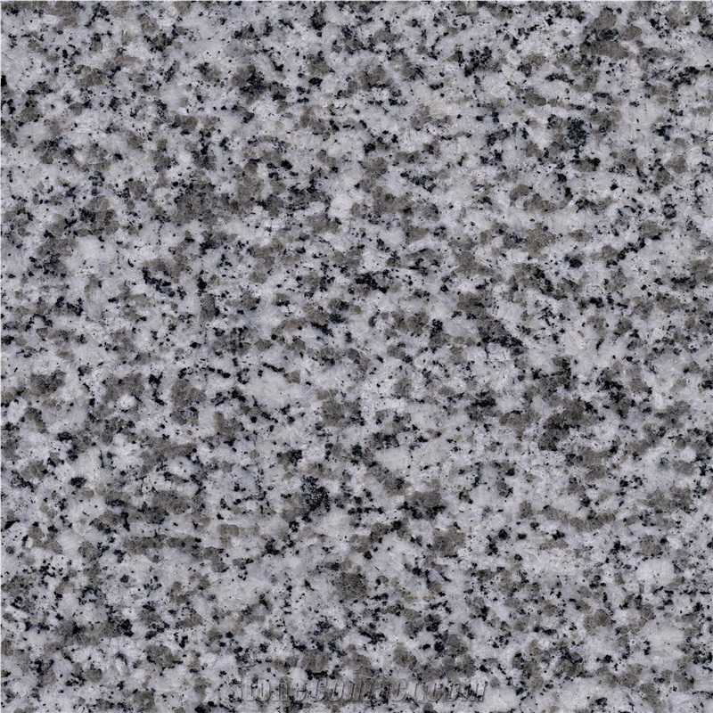 Chinese Bianco Sardo - G050 Granite