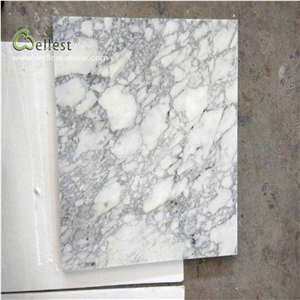 White Marble Wall Tile Net Veins Interior Tile