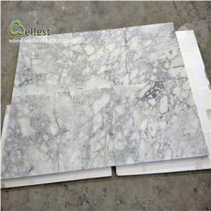 White Marble Wall Tile Net Veins Interior Tile