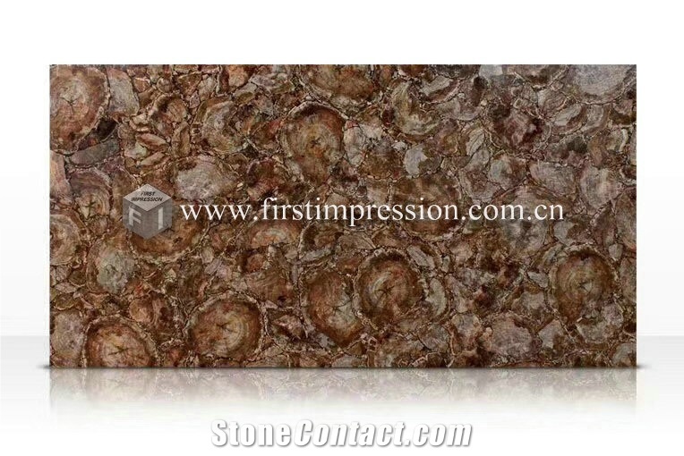 Fossil Wood Gemstone Semiprecious Stone Slabs
