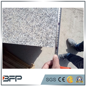 The Most Economic Grey Granite G602 for Floor&Wall