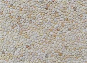 Gold Yellow Pebbles-4710