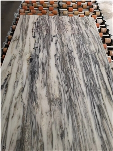 Italy Arabescato White Marble Slabs With Black Vein Stone