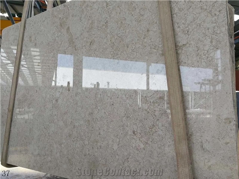 China Coral Sea Marble Slab Wall Floor Tiles Use