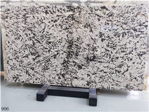 Silver Mountain Snow Fox Granite Slab in China