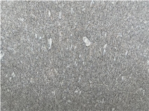 Alps Snow Grey Quartzite Slabs