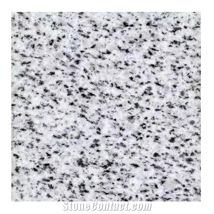 Egypt White Halayab Granite Slab
