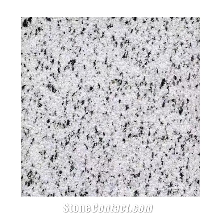 Egypt White Halayab Granite Slab