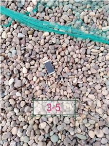 Washed Pebble Mixed Color Cobblestone Steping