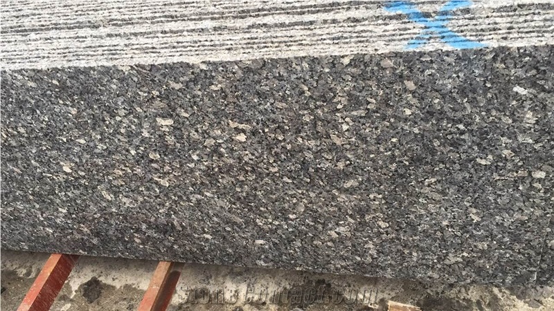 Polished Silver Pearl Granite Flooring Slabs