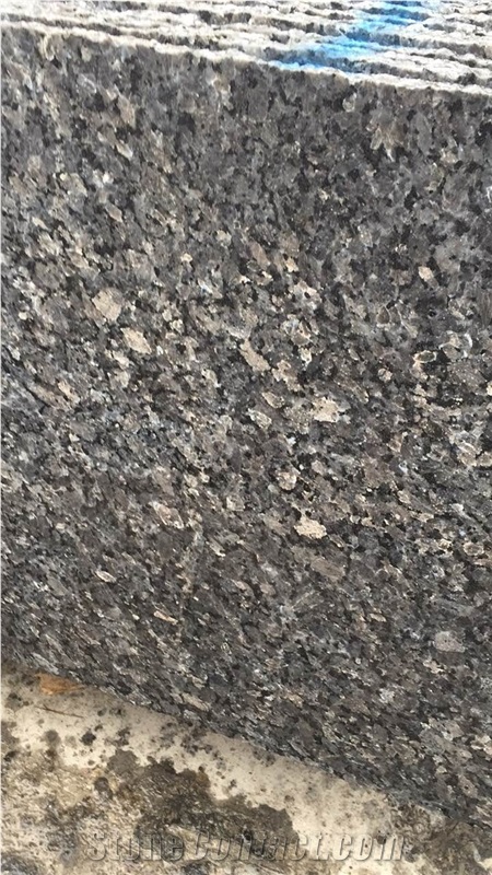 Polished Silver Pearl Granite Flooring Slabs