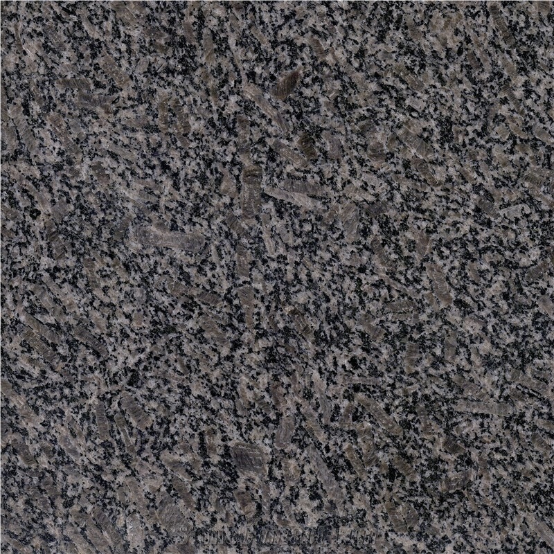 Royal Pearl Granite Slabs, Tiles