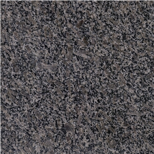 Royal Pearl Granite Slabs, Tiles