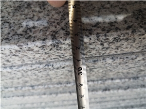 China Bianco Crystal Granite G603 Polished Steps