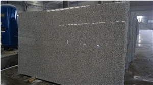 Own Quarry New Bianco Sardo Grey Granite Slabs