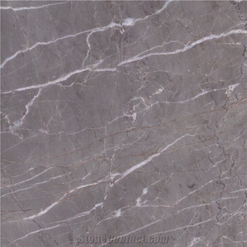 St Laurent Grey Marble Slabs,Tiles