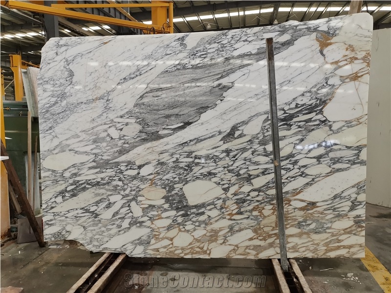 Arabescato Corchia Arabescato Carrara Marble Slab