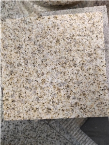 Golden Hemp Medium Granite for Wall Tiles