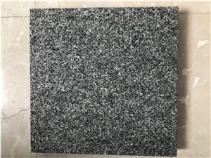 New G654 Granite for Wall Covering