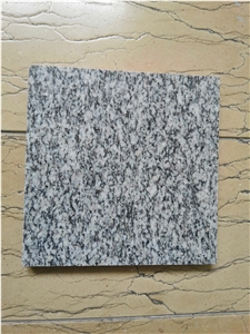 Sunny White Granite for Wall Covering