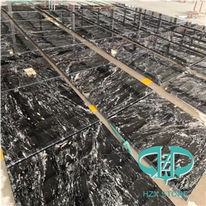 Portoro Black Granite for Building Material