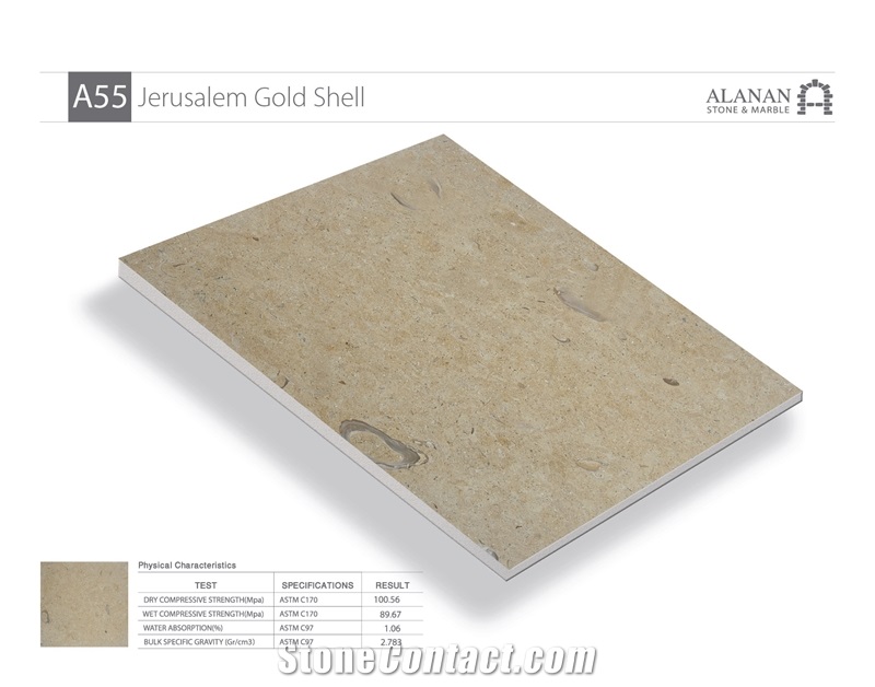 Jerusalem Gold Shell A55 Limestone Tiles