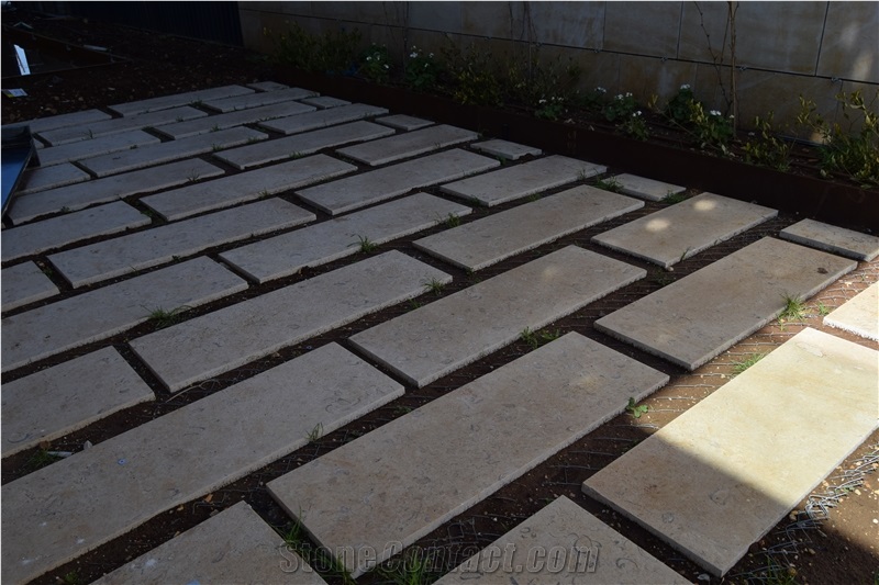 Jerusalem Gold Shell A55 Limestone Tiles