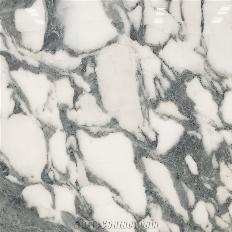 Italy Statuario Arabescato White Marble Slab from Italy