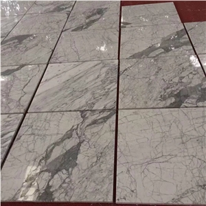 Italy Statuary Marble Slab and Floor Tiles