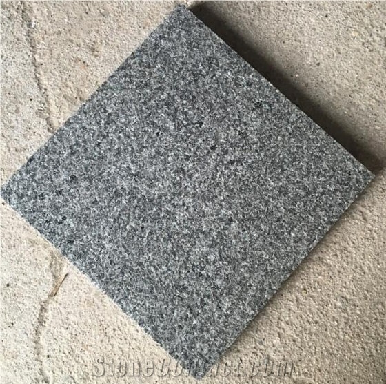 Cheap Price Natural Black Granite Tiles