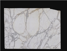 Calacatta Gold Marble White Stonecontact Calacatta Gold Marble Slabs 609
